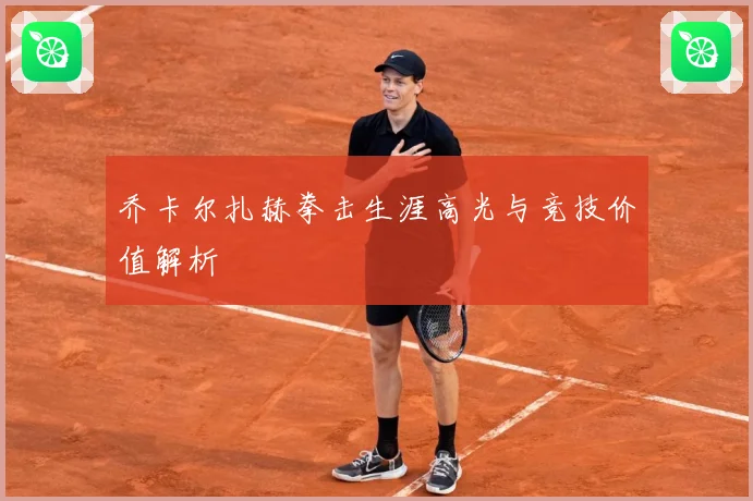 乔卡尔扎赫拳击生涯高光与竞技价值解析