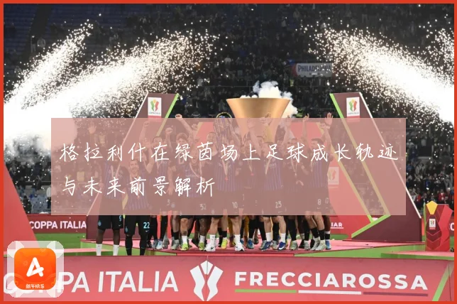 格拉利什在绿茵场上足球成长轨迹与未来前景解析